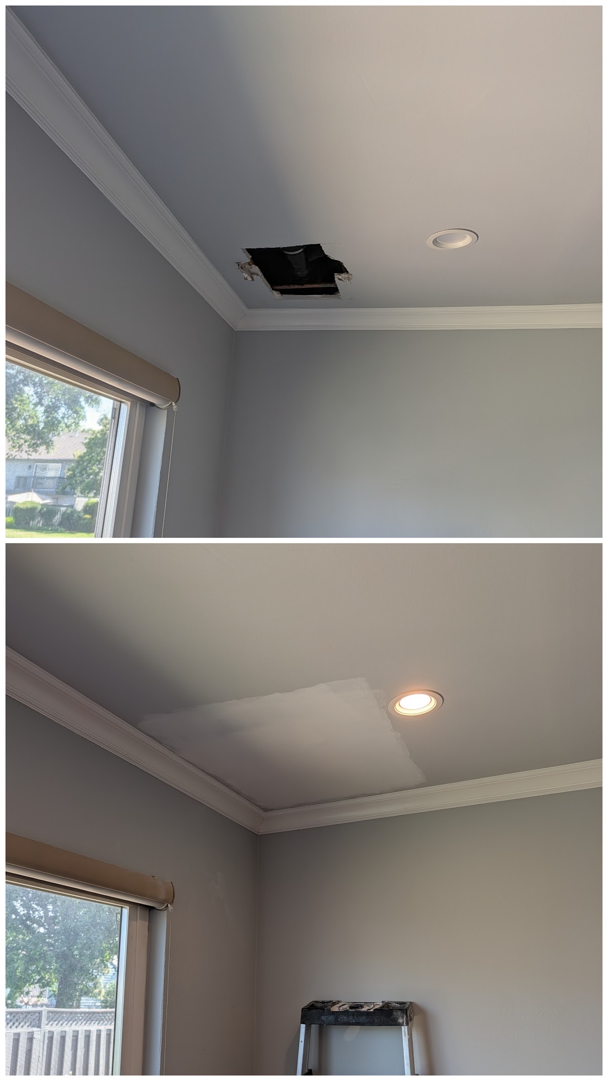 Ceiling Drywall Repair, a recent drywall repair project by David's Dreams