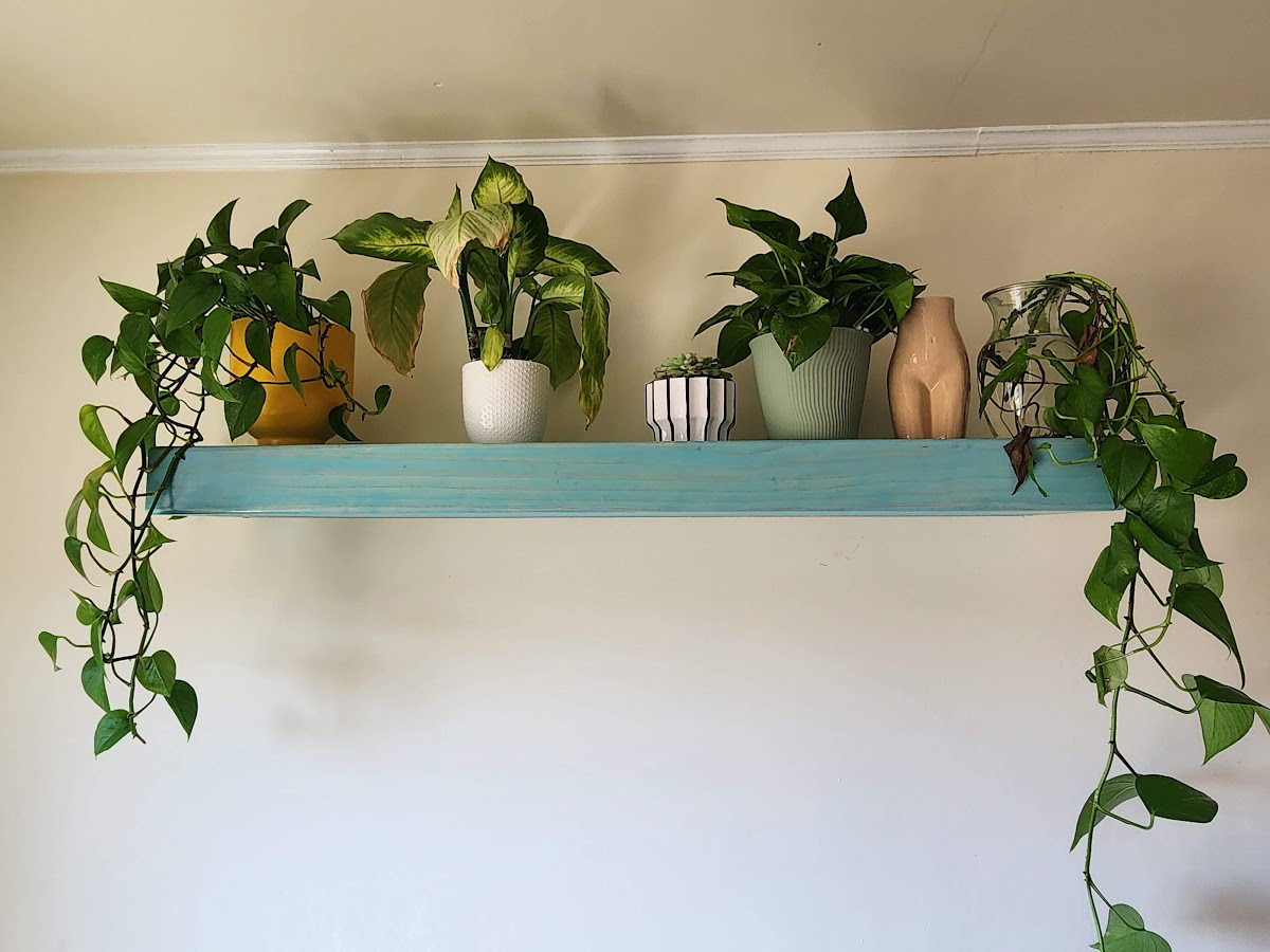 Custom Shelving in San Francisco